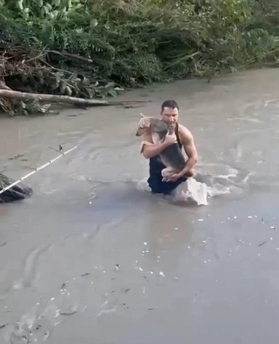 Мужчина доставал собак из реки | Источник: Телеграм-канал «Сочи онлайн» (18+).
