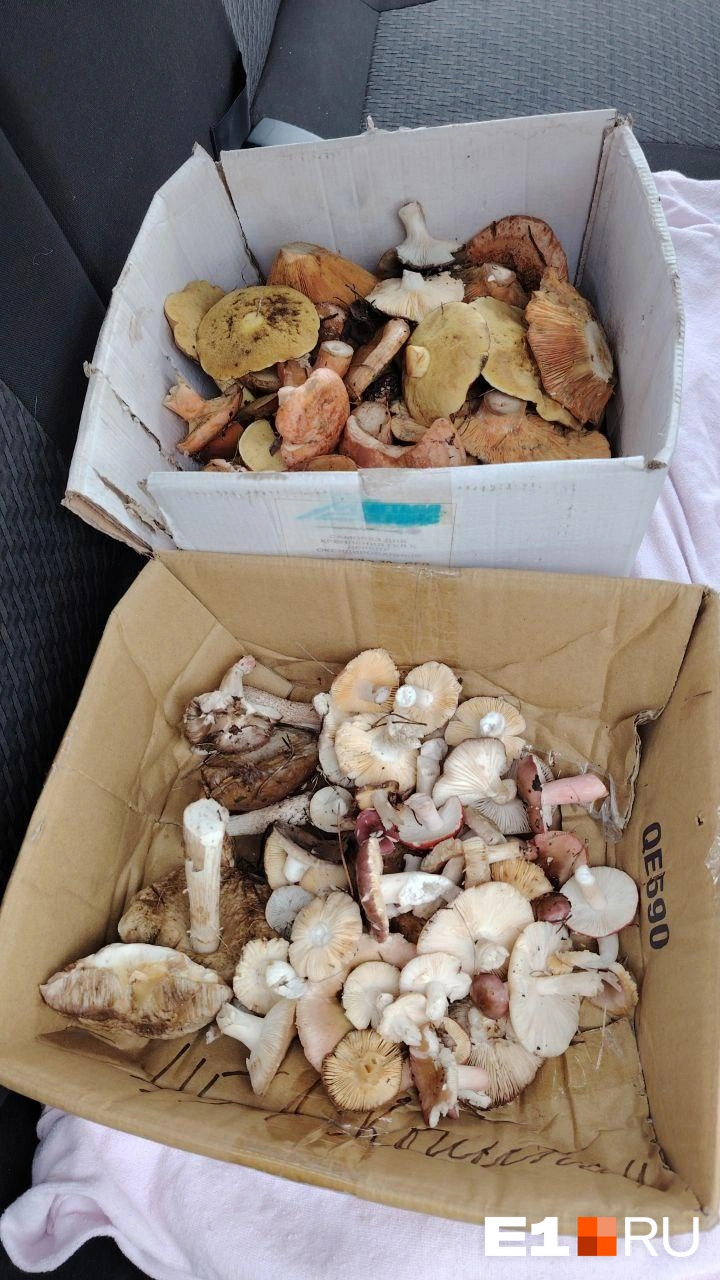 Источник: читательница E1.RU Анна