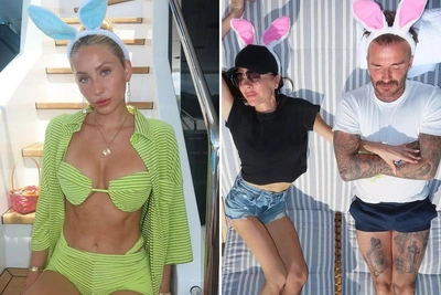 Пасхальные знаменитости-кролики — все в ушках!