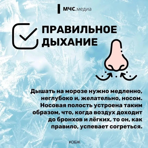 Источник: ГУ МЧС России по Волгоградской области