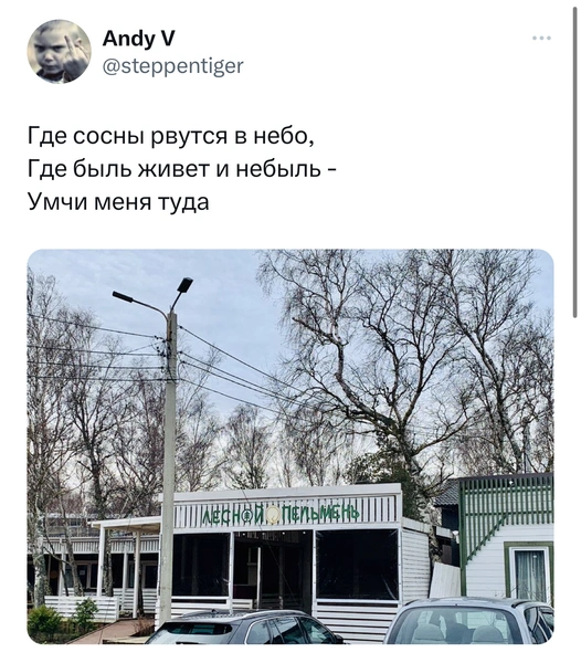 Шутки среды и лесной пельмень