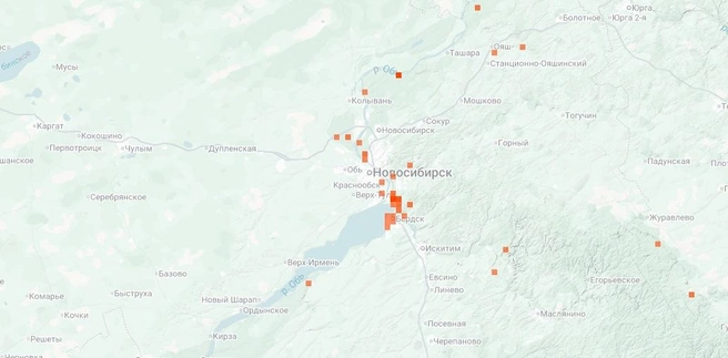 В окрестностях Новосибирска часто встречают валуи | Источник: inaturalist.org