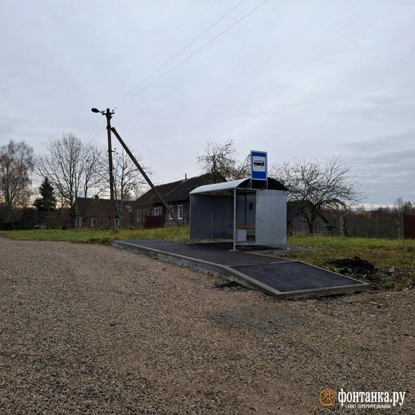 Источник: Ирина Багликова / «Фонтанка.ру»