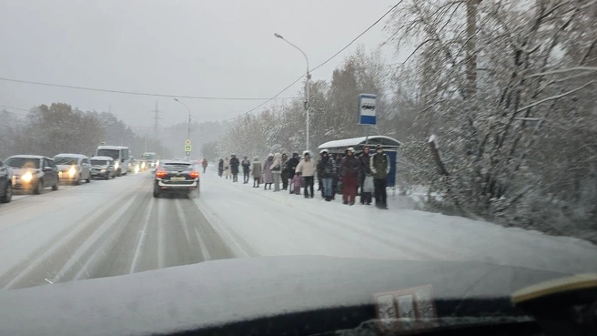 Источник: Александр / Telegram