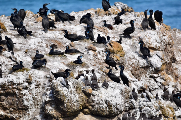 Источник: Comunc8 via Shutterstock/Fotodom.ru