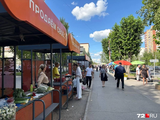 На Пермякова развернулся настоящий рынок. Люди охотно идут сюда за дачными домашними товарами, особенно любят покупать первые ягоды, душистую зелень и цветы | Источник: Мария Токмакова / 72. RU