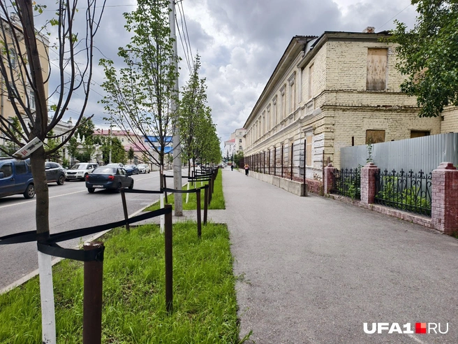 Придётся ждать лет 10-20, чтобы тут снова была тень | Источник: Булат Салихов / UFA1.RU