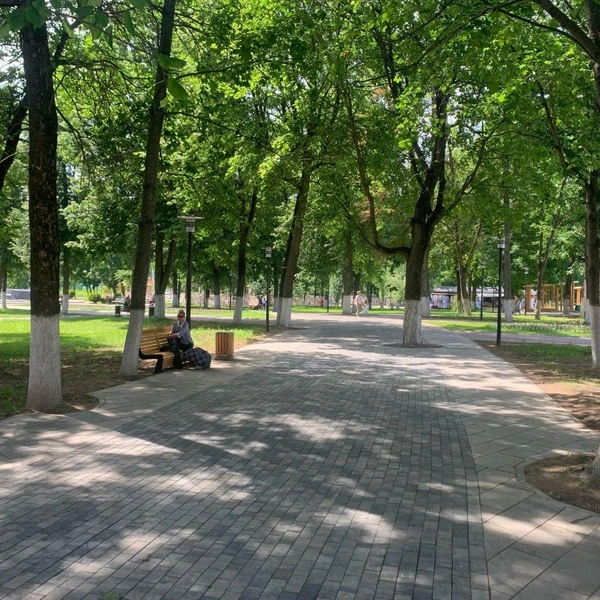 В центральном парке прохладно даже жарким летом | Источник: Полина Зайцева / 76.RU