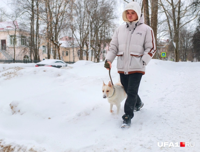 Смотрите, какой беленький | Источник: Булат Салихов / UFA1.RU