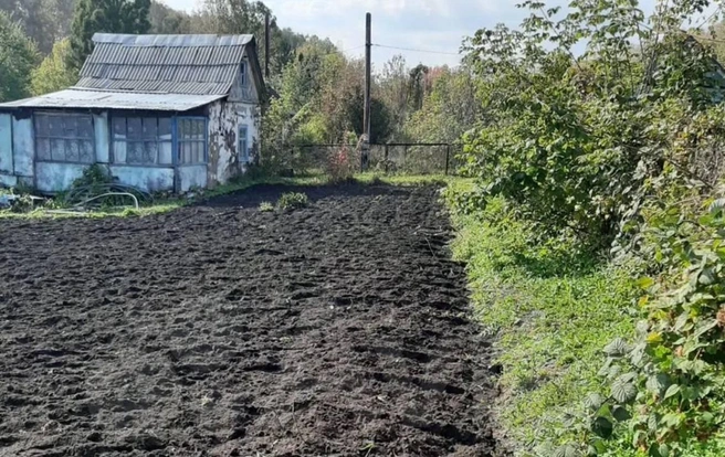 Дача и вишневый сад за 110 тысяч рублей | Источник: Avito