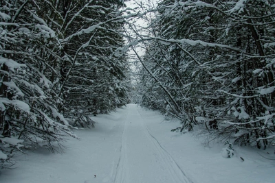 Прогноз погоды в Удмуртии на 12-16 января