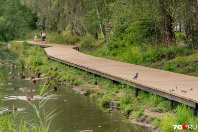 Ярославль: 29,3 млн на благоустройство парка Судостроителей