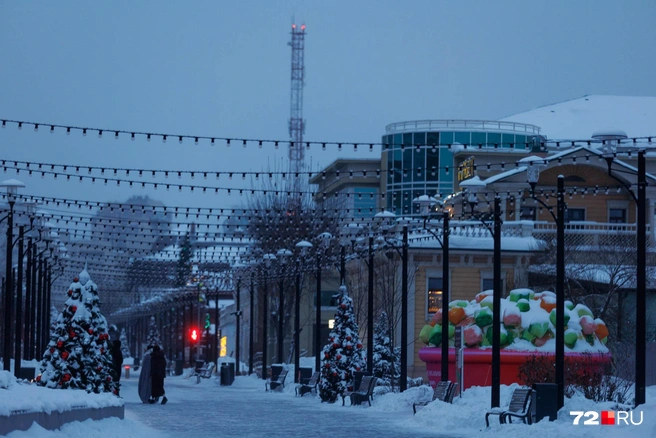 Источник: Ирина Шарова / 72.RU