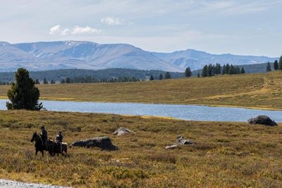 География туристов Алтая: основные регионы и страны