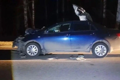 В Башкирии женщина погибла в ДТП с лосем