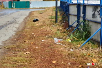 Дорога к обелиску | Источник: Роман Данилкин / 63.RU