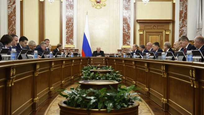 Правительство РФ отменило повышенные пошлины на лечебное питание из недружественных стран | Источник: Правительство РФ