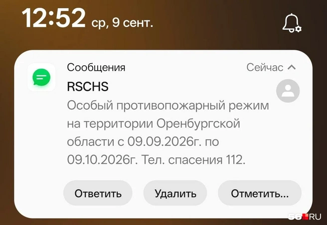 Источник: Владислав Митрошин / 56.RU
