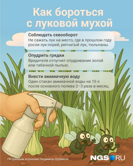 Сохраните себе полезную картинку | Источник: Юрий Орлов / Городские медиа