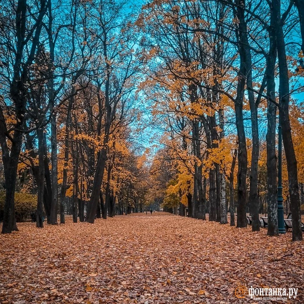 Источник: читатель «Фонтанки»