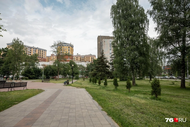В парке высадили «Аллею трудовой доблести» | Источник: Александр Куренной / 76.RU
