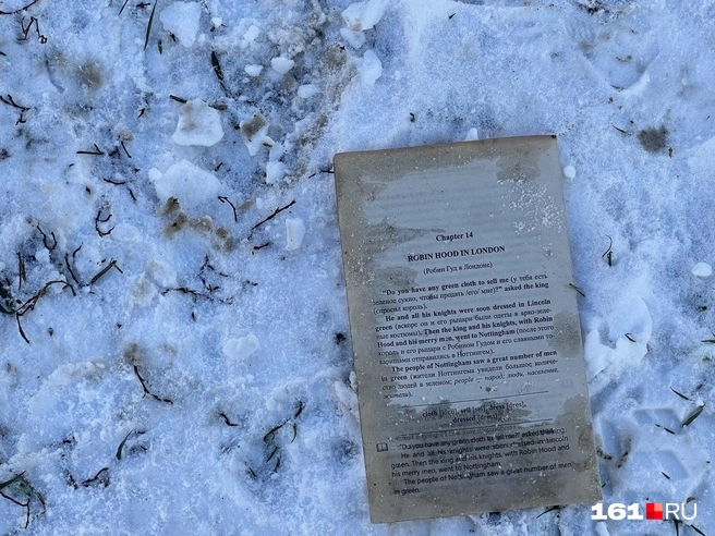 Недалеко от дома разбросаны страницы разорванных книг | Источник: Алина Заярная / 161.RU