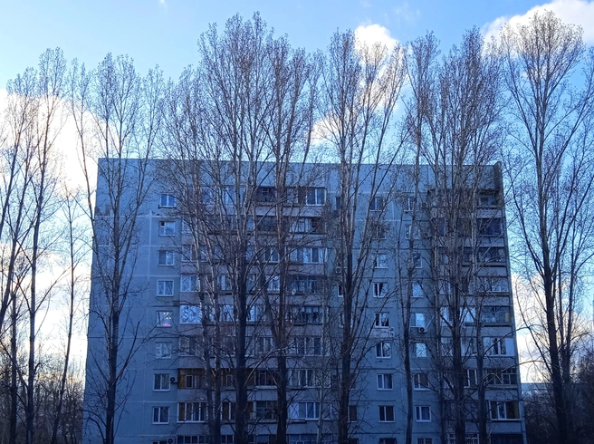 В Заволжском районе Ульяновска погибла пенсионерка: предварительно она выпала из окна | Источник: Дмитрий Сильнов / 173. RU