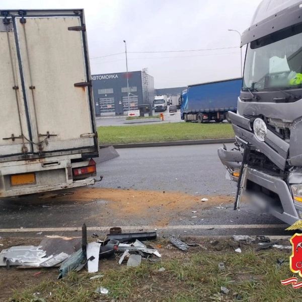 Источник: Петербургская полиция/Telegram