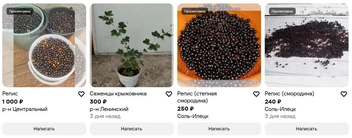 Но вкусная | Источник: Avito.ru