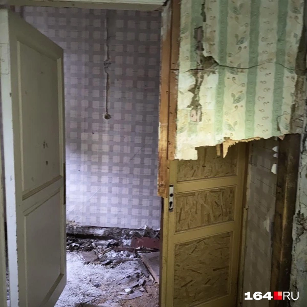 Источник: Сергей Гендин / 164.RU