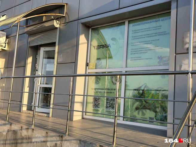 Так выглядела ветеринарная клиника на старом месте | Источник: Семен Коротов-Майбах / 164.RU