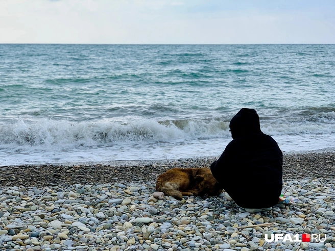 «Уфе есть чему поучиться у южан»: фоторепортаж с двухнедельной поездки по городам Кавказа и Кубани | Источник: Андрей Бирюков / UFA1.RU