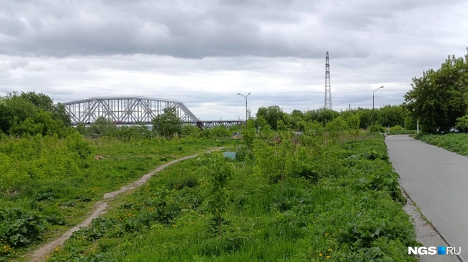 На остальной части берега работ пока не заметно | Источник: Стас Соколов / NGS.RU