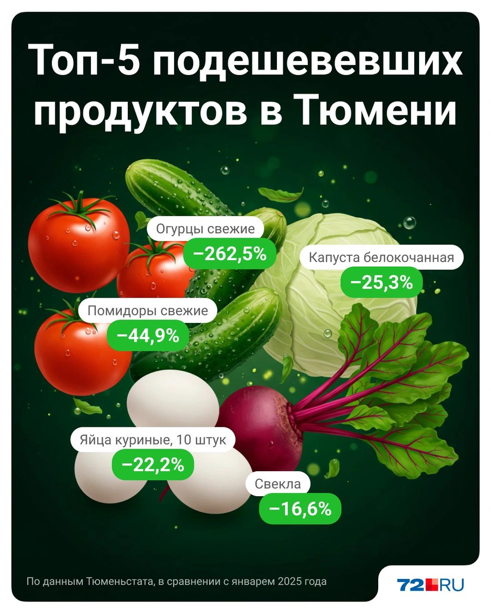 Источник: Полина Авдошина / Городские медиа