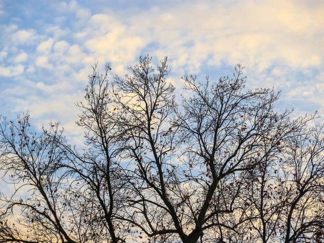 Источник: Фото: Наталья Бурухина