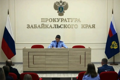 Число лесных преступлений в Забайкалье упало почти на 40%