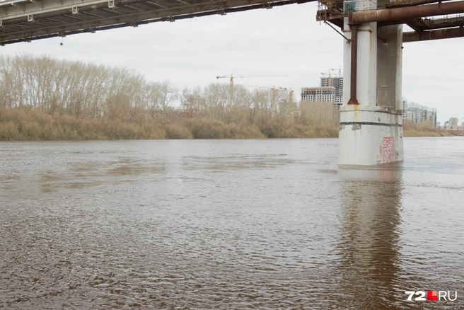 Теперь на реку даже приятно смотреть: она стала полноводной | Источник: Павел Красоткин / 72.RU