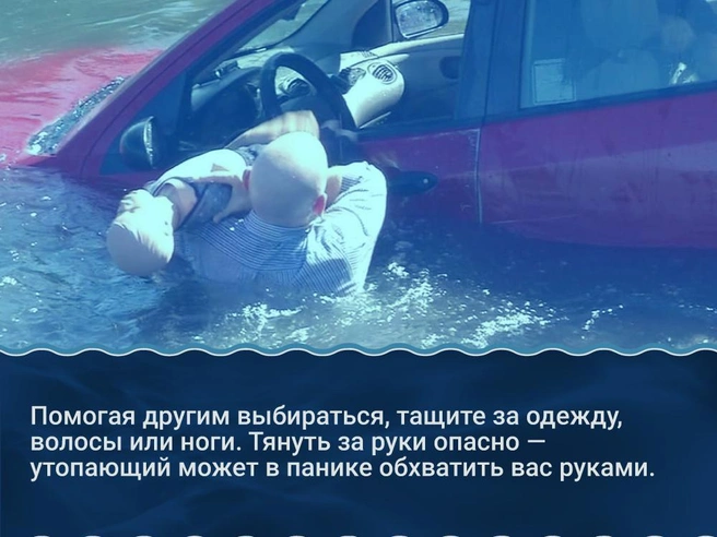 Источник: «Фонтанка.ру»