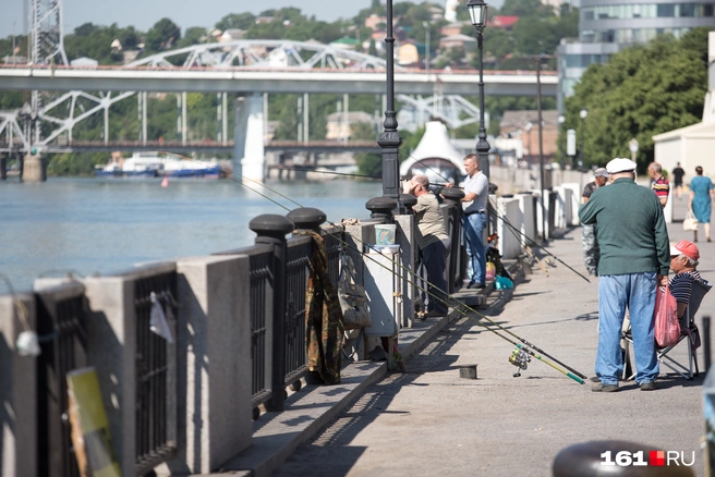 Источников загрязнения реки масса | Источник: Евгений Вдовин / 161.RU