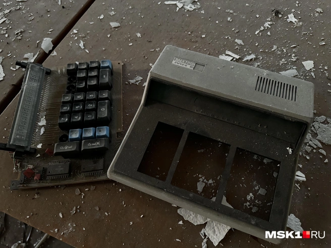 Источник: Алина Мельникова / MSK1.RU