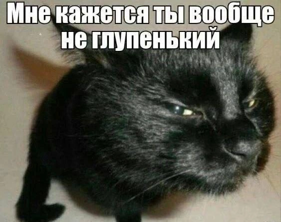 Раз интересуешься такой темой | Источник: Memexpert.net