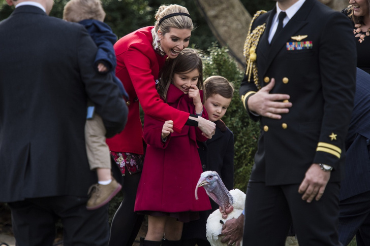 Иванку Трамп назвали плохой матерью после того, как ее 8-летняя дочь получила черепно-мозговую травму