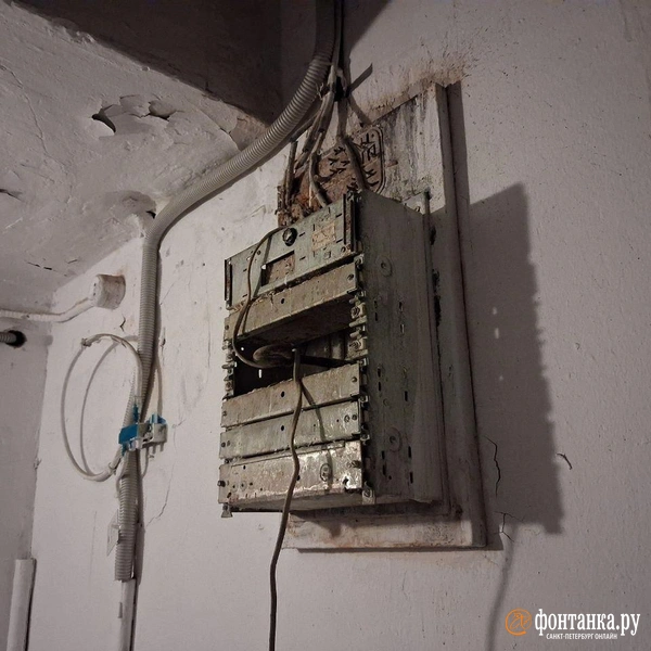 Источник: Анна Мотовилова / «Фонтанка.ру»