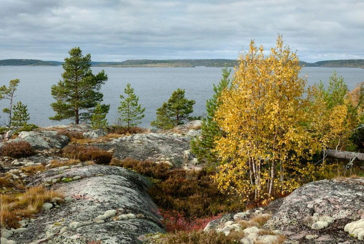 Источник: Vladimir Sivkov/Shutterstock/Fotodom.ru