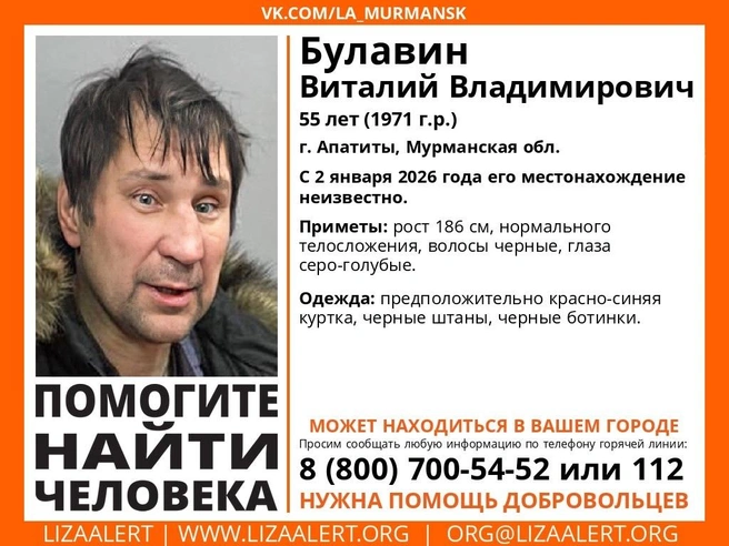 Источник: поисковый отряд «ЛизаАлерт» Мурманской области / Vk.com