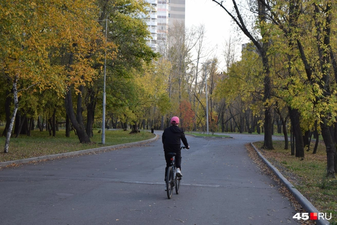 В ЦПКиО можно любоваться пейзажем, катаясь на велосипеде  | Источник: Юлия Король / 45.RU