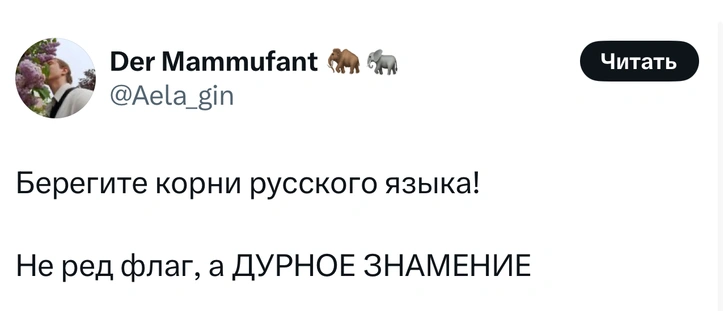Источник: X (Twitter)
