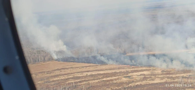 Так горит пойма реки. Если не потушить, пламя дойдет до леса  | Источник: предоставлено Сергеем 