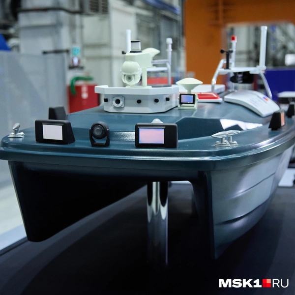 Источник: Дмитрий Толстошеев / MSK1.RU
