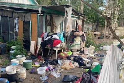 Суд выселил собачницу из балка в Пыть-Яхе